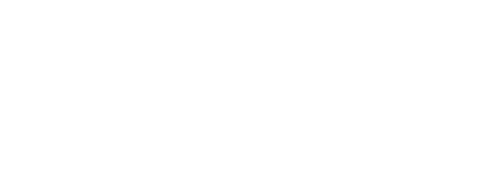 Aura Shoes